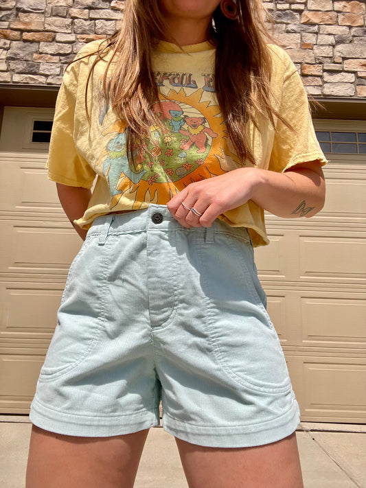 Patagonia Corduroy Shorts (8)