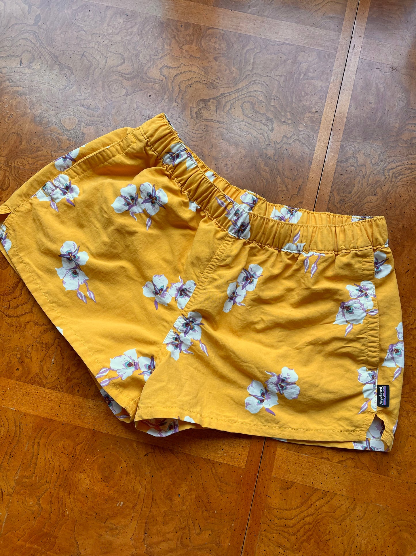 Patagonia Baggie Shorts (M)