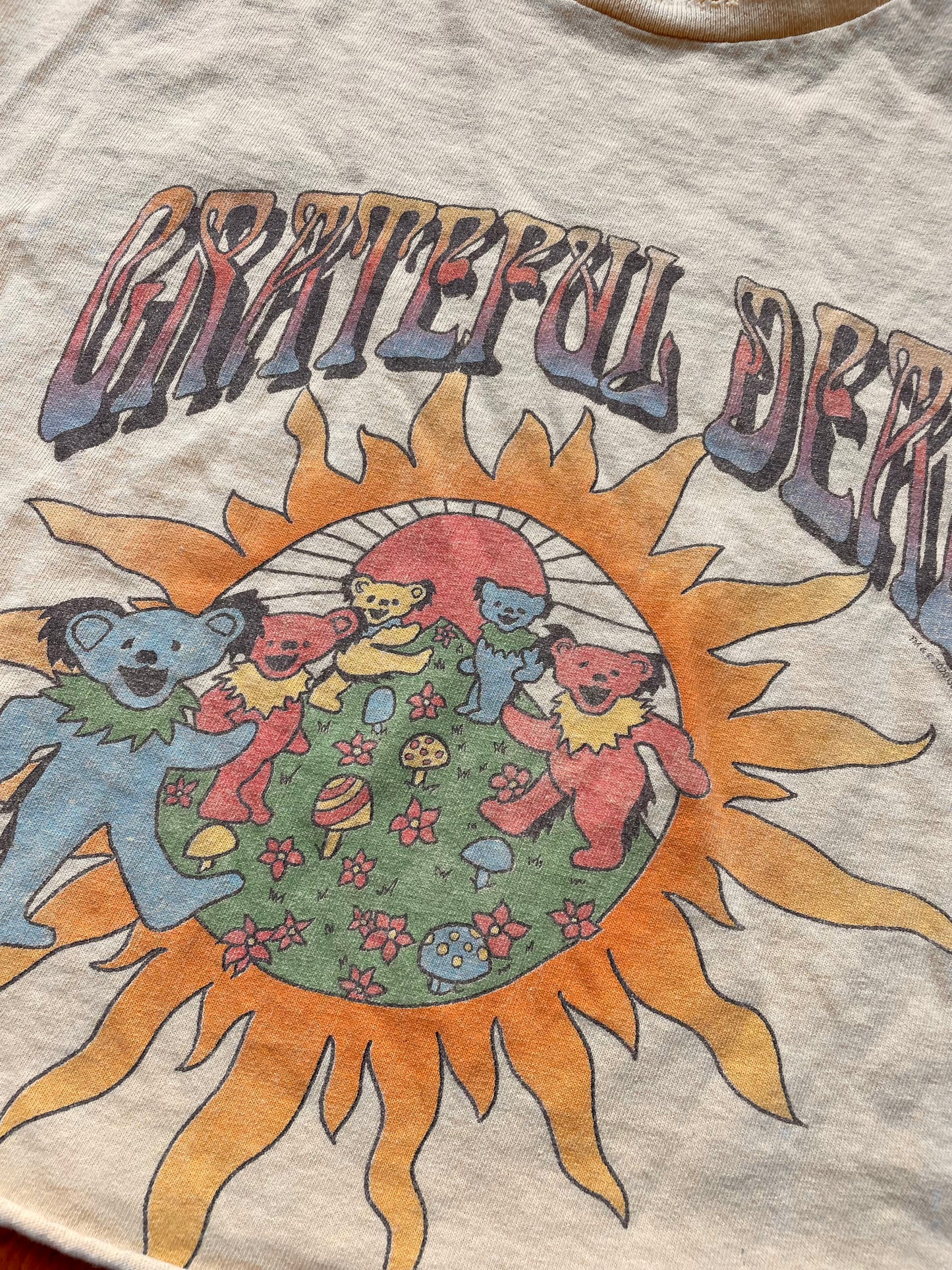 Grateful Dead Cropped Tee (M)