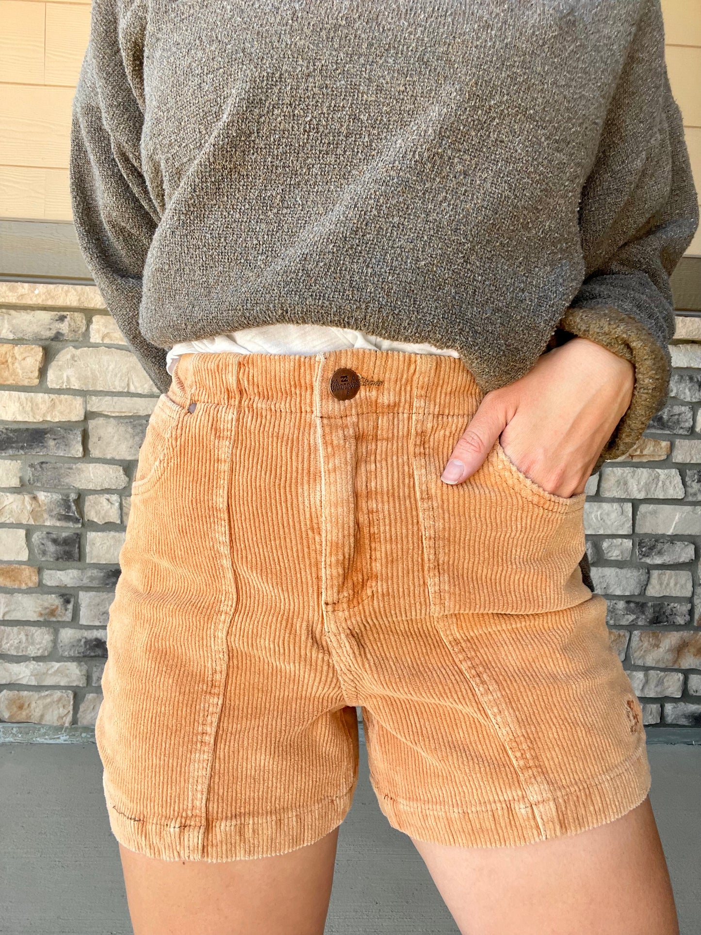 BillabongXWrangler Corduroy Shorts (4/6)