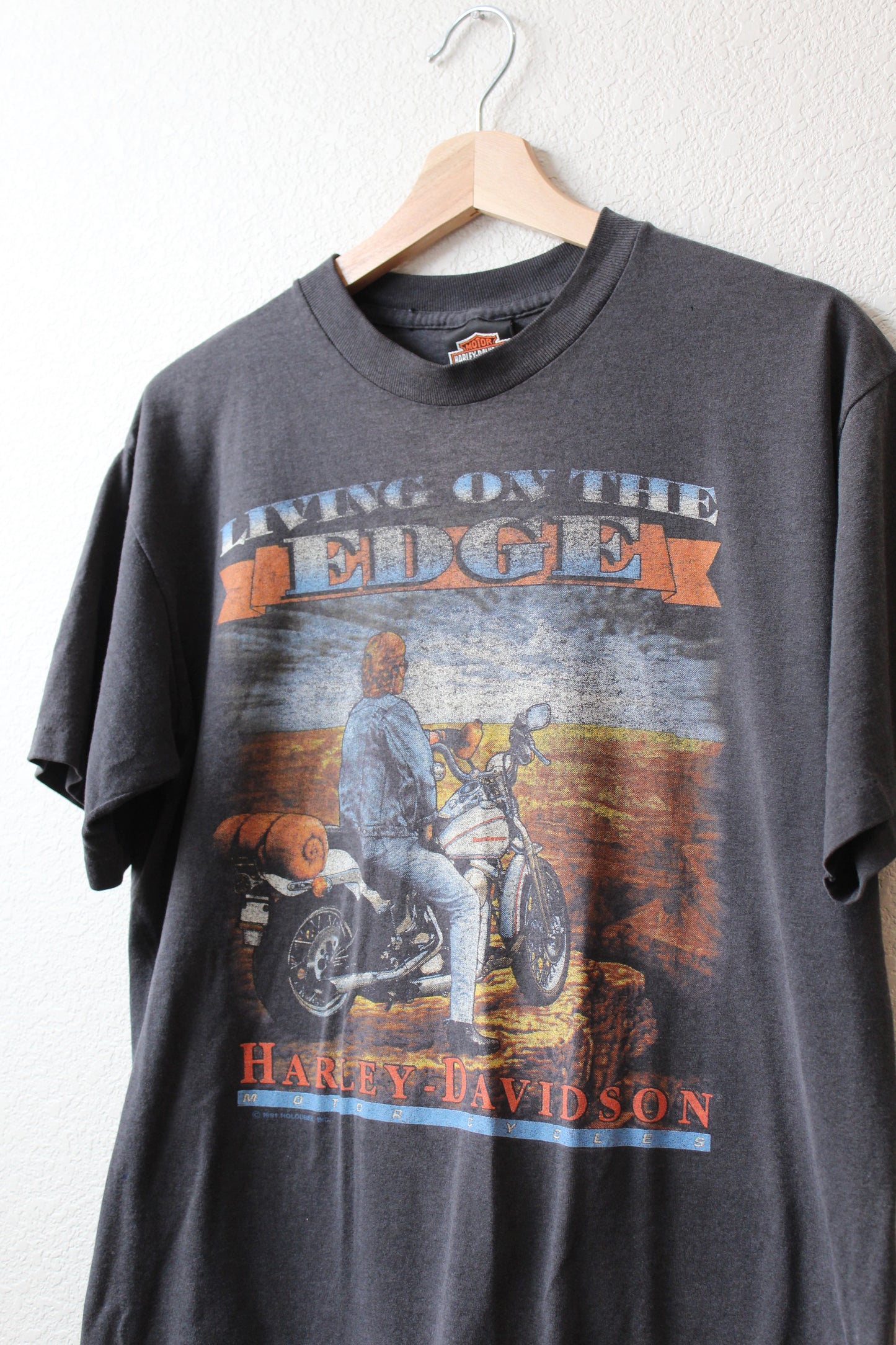 Vintage 1991 Harley Davidson Tee (L)