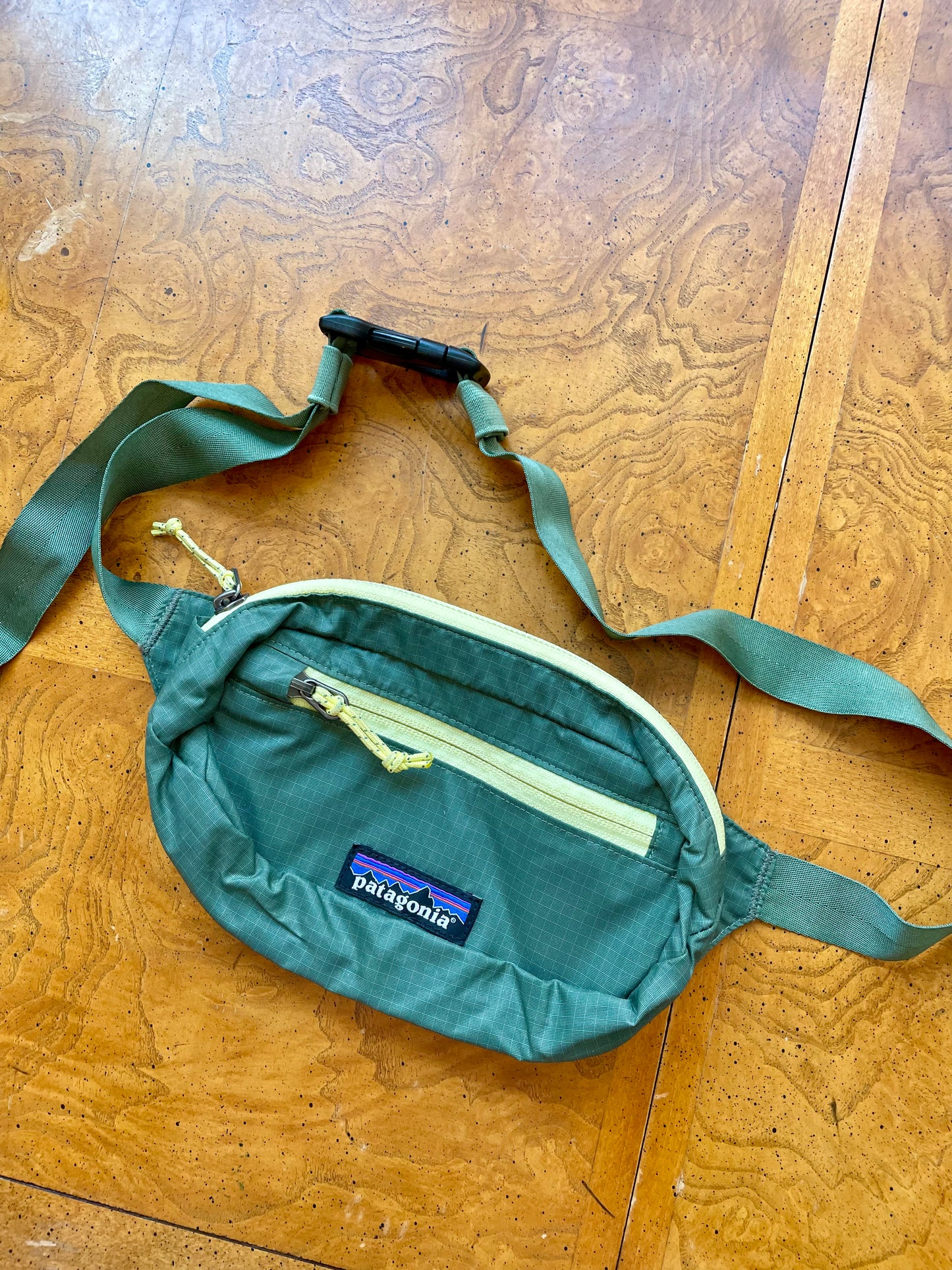 Patagonia Fanny Pack