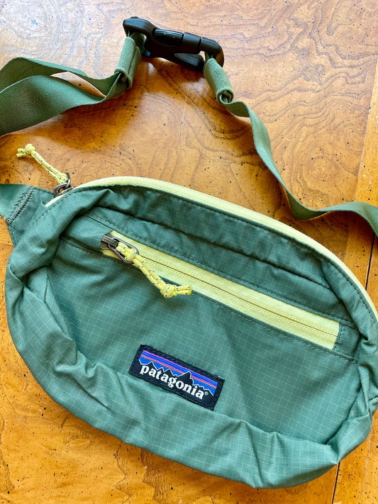 Patagonia Fanny Pack